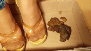 Free Scat Porn