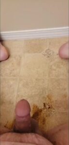 Free Scat Porn