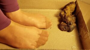 Free Scat Porn