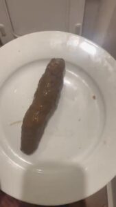 Free Scat Porn