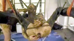 Free Scat Porn