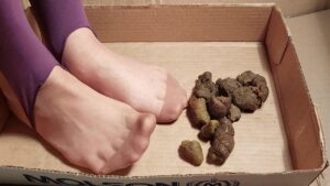 Free Scat Porn