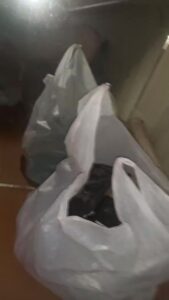 Free Scat Porn