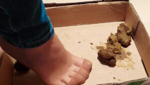 Free Scat Porn