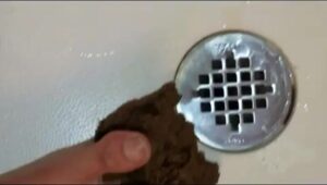 Free Scat Porn