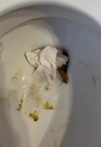 Free Scat Porn