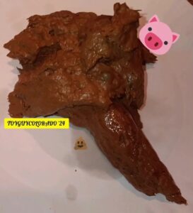 Free Scat Porn