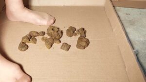 Free Scat Porn