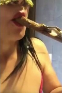 Free Scat Porn
