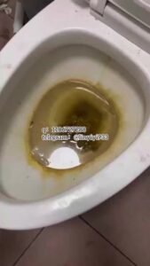 Free Scat Porn