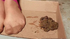 Free Scat Porn