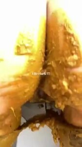 Free Scat Porn