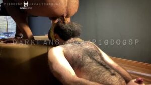 Free Scat Porn