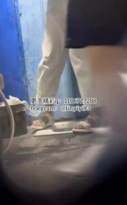 Free Scat Porn