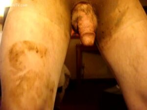 Free Scat Porn