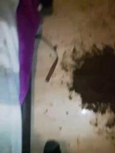 Free Scat Porn
