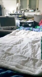 Free Scat Porn