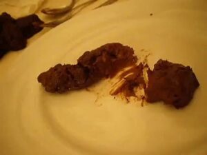 Free Scat Porn
