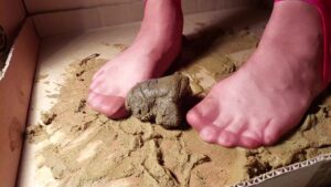 Free Scat Porn