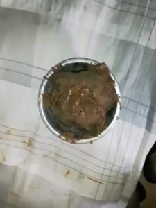 Free Scat Porn