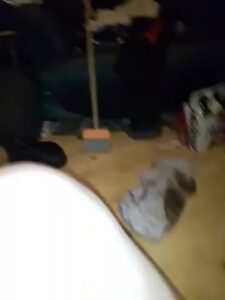 Free Scat Porn