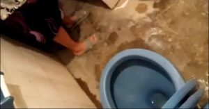 Free Scat Porn