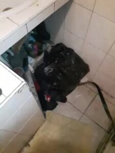 Free Scat Porn