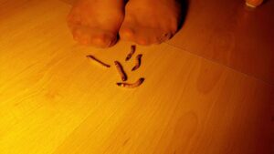 Free Scat Porn
