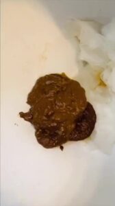 Free Scat Porn