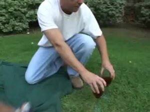 Free Scat Porn