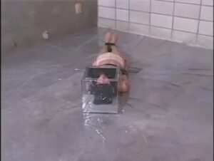 Free Scat Porn