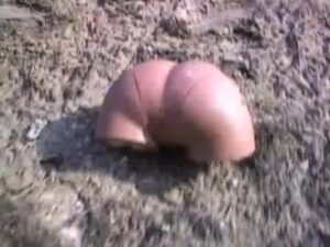 Free Scat Porn