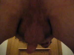 Free Scat Porn