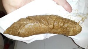 Free Scat Porn