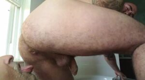 Free Scat Porn