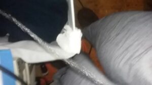Free Scat Porn