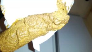 Free Scat Porn