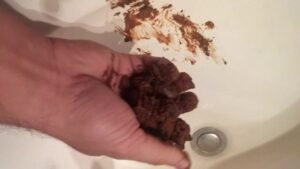 Free Scat Porn