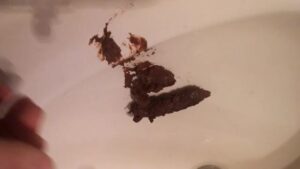 Free Scat Porn