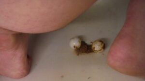 Free Scat Porn