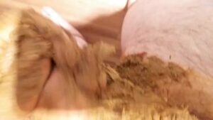 Free Scat Porn