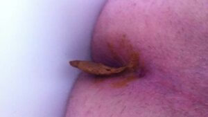 Free Scat Porn