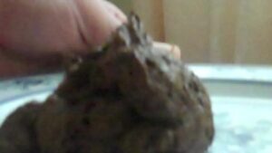 Free Scat Porn