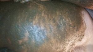 Free Scat Porn