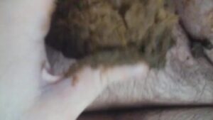Free Scat Porn