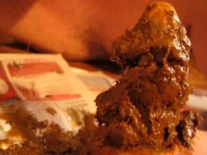 Free Scat Porn