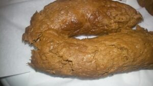 Free Scat Porn