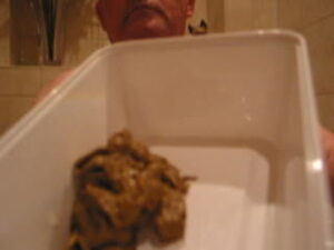 Free Scat Porn