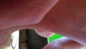 Free Scat Porn