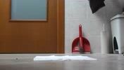 Free Scat Porn
